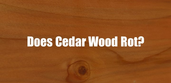 Does Cedar Wood Rot? [Mystery Solved]
