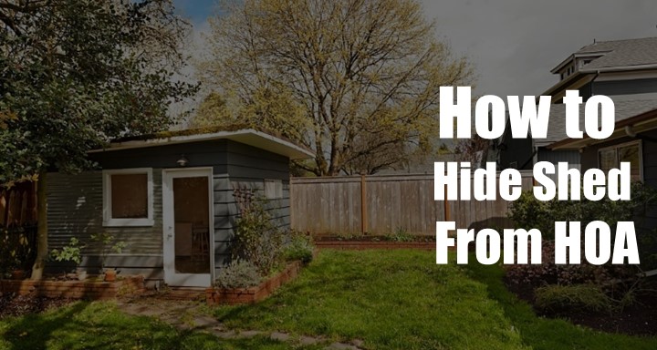 How to Hide a Shed From HOA [4 Easy Hacks]